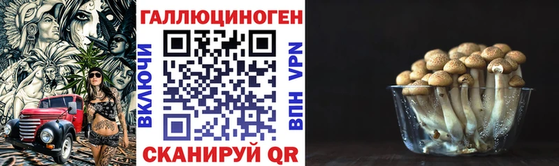 Псилоцибиновые грибы Psilocybine cubensis  даркнет сайт  Курлово 